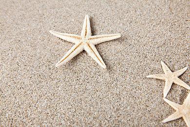 知名爆料人称任天堂Switch继任者可向后兼容 或准备量产