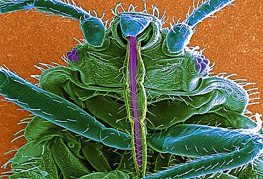 《星球大战：亡命之徒》中文预告 8月30日发售